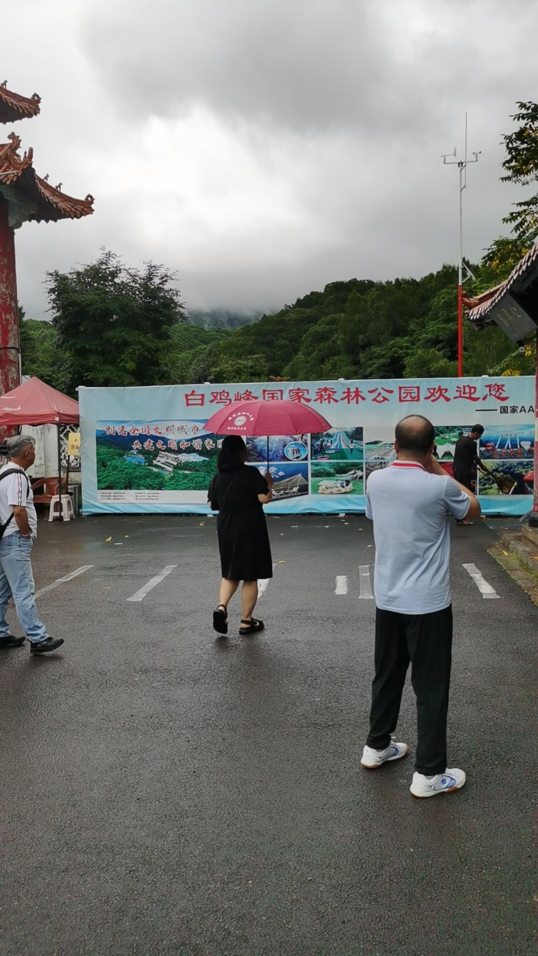 白鸡峰国家森林公园(暂停营业)旅行图片 2