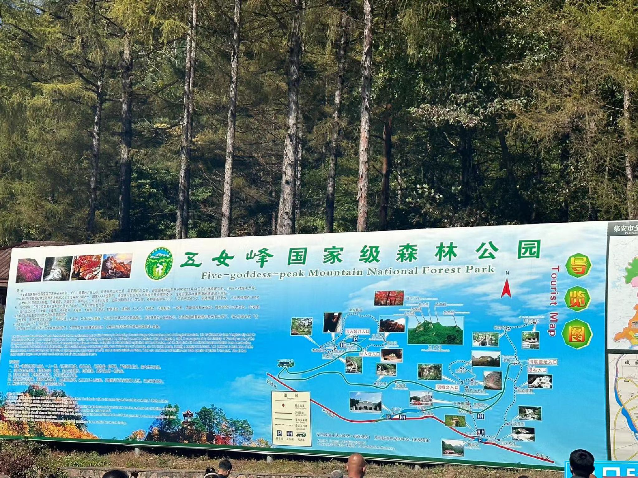 五女峰国家森林公园(暂停开放)旅行图片 1