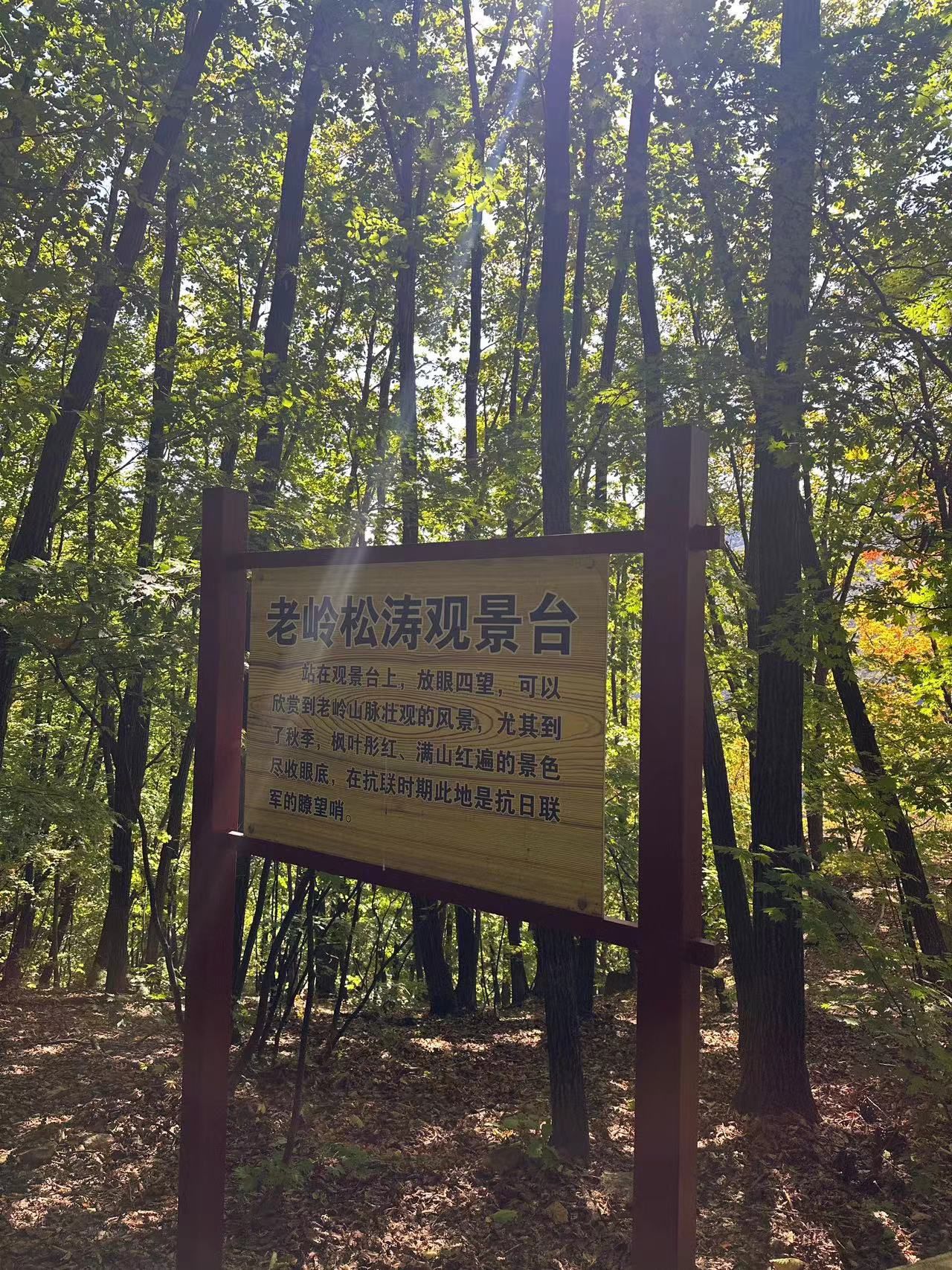 五女峰国家森林公园(暂停开放)旅行图片 2