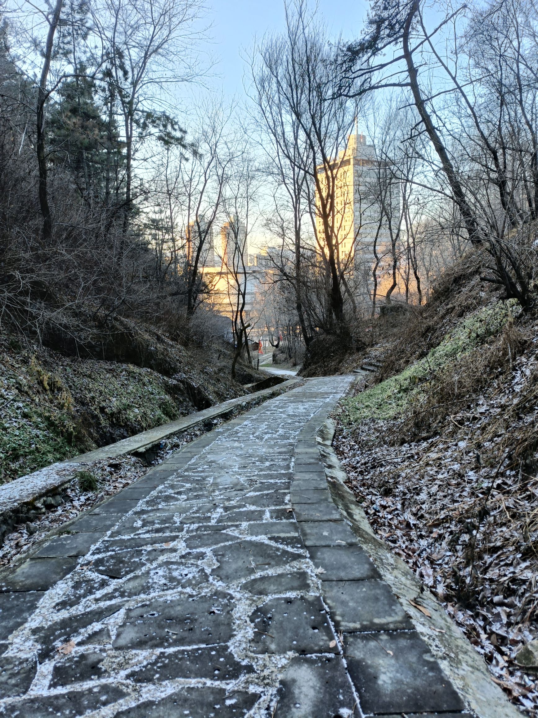南山植物园旅行图片 1