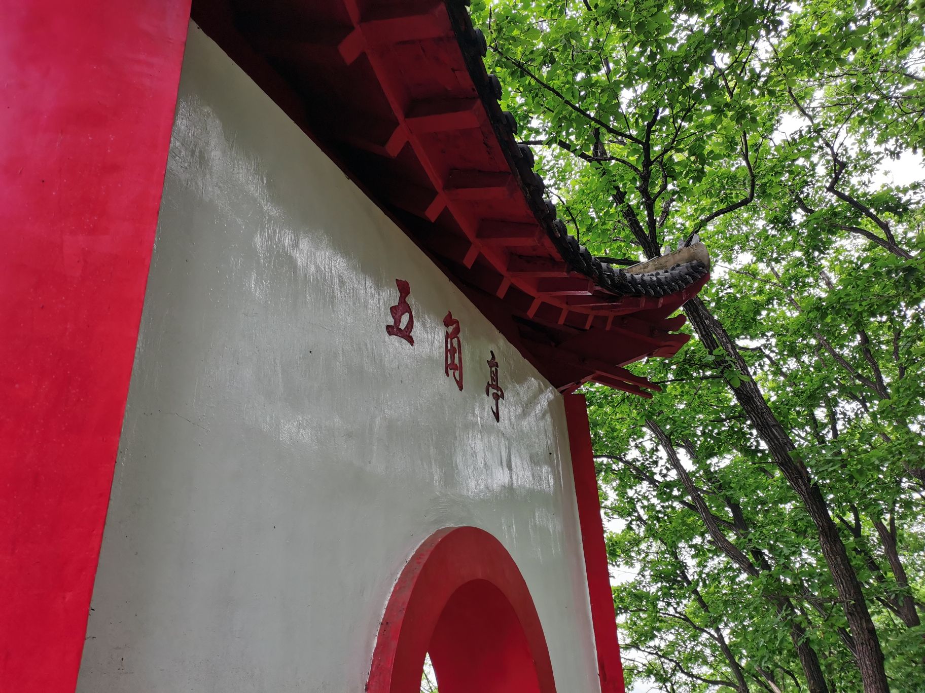 玉皇山公园旅行图片 3