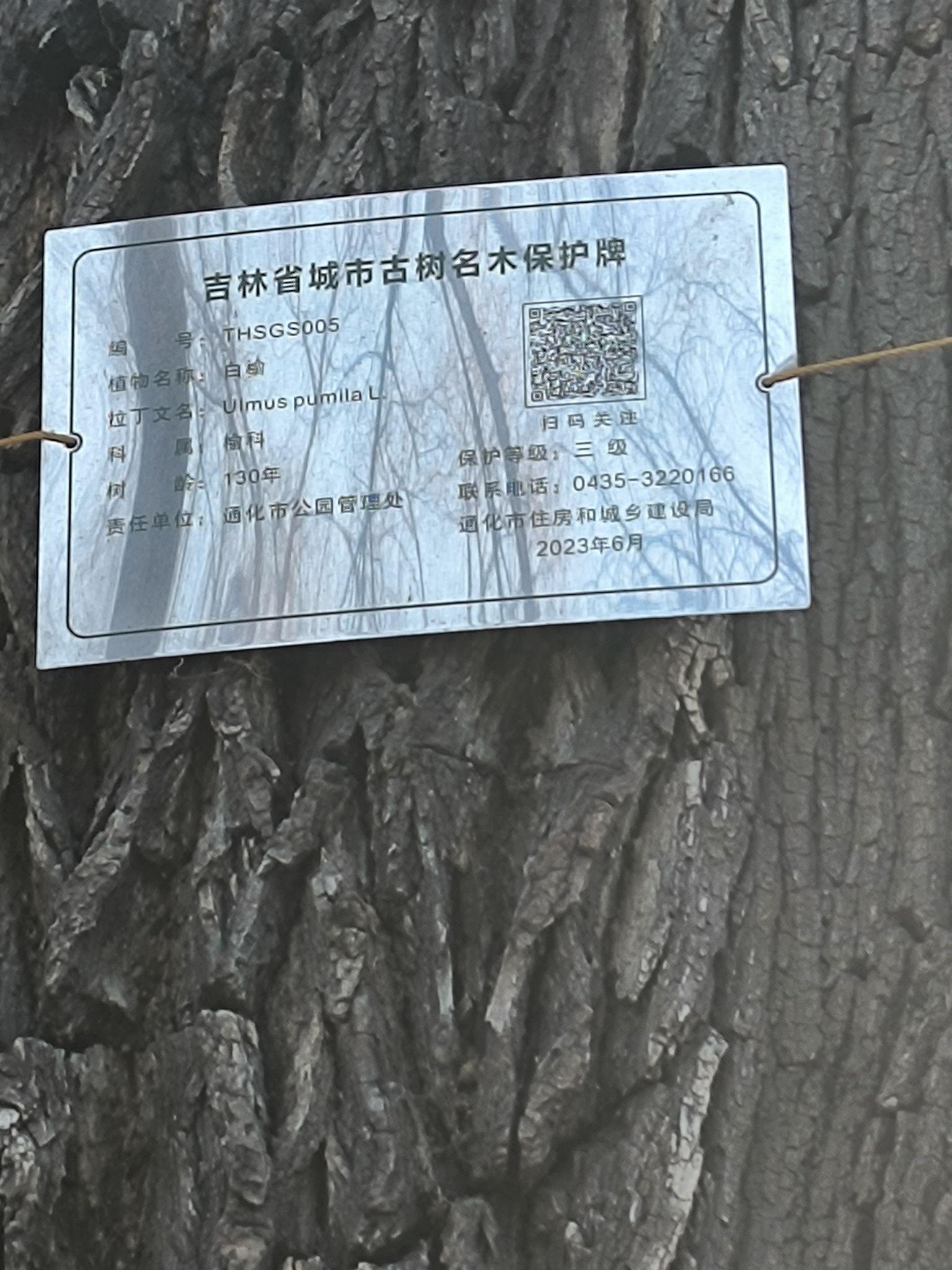 玉皇山公园旅行图片 2
