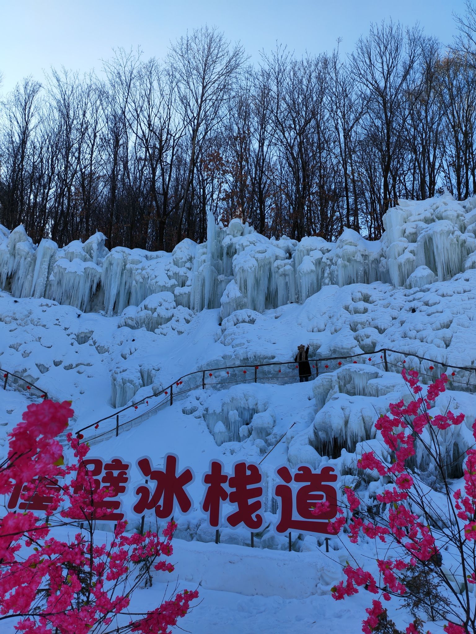 鸡冠山国家森林公园旅行图片 1