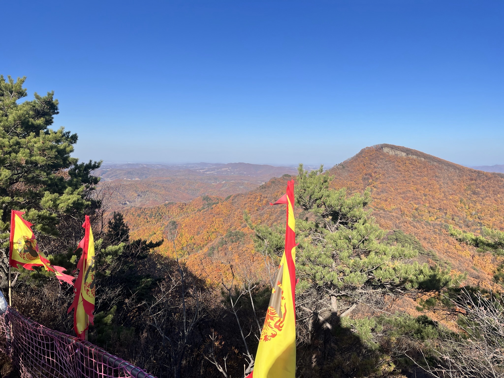鸡冠山国家森林公园旅行图片 2