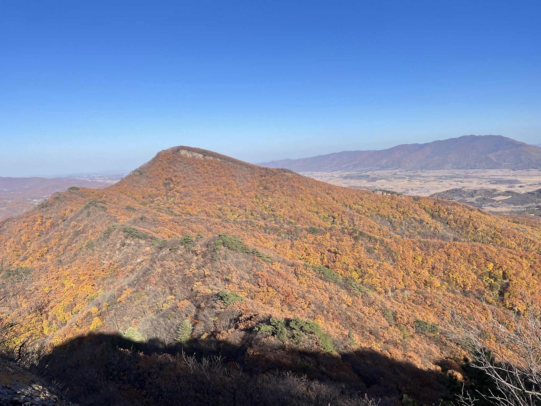 鸡冠山国家森林公园旅行图片 1