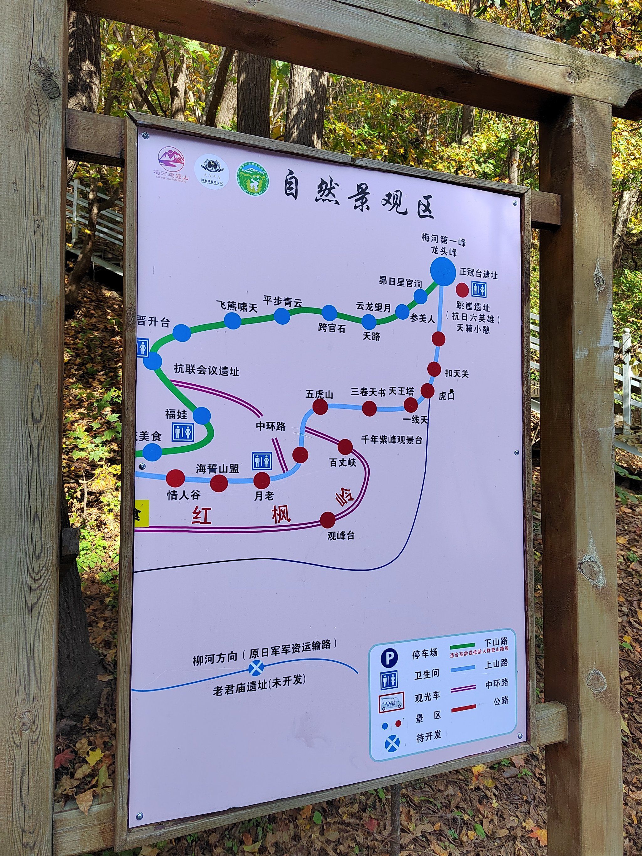 鸡冠山国家森林公园旅行图片 1