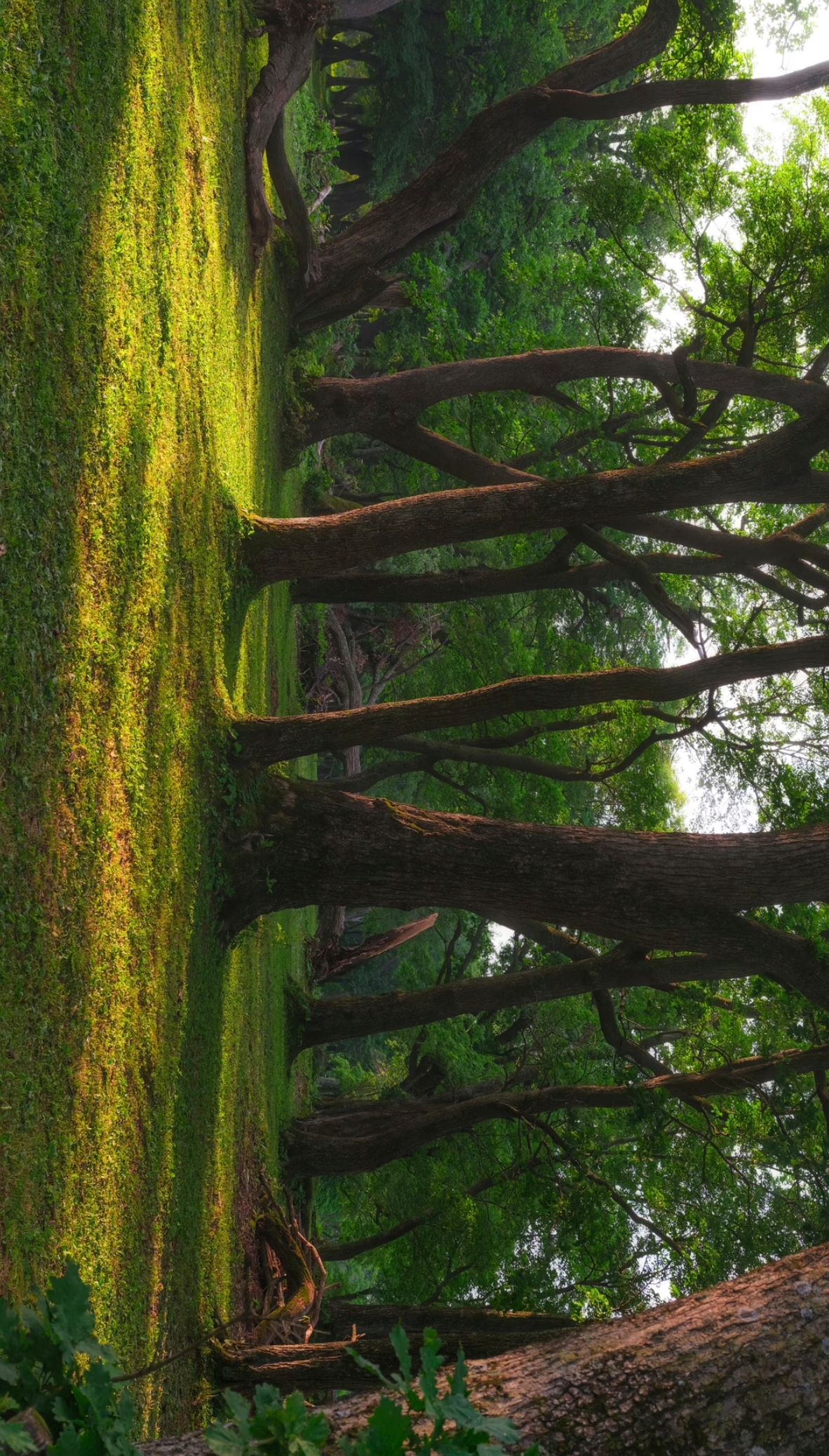 龙湾群国家森林公园-旱龙湾风景区