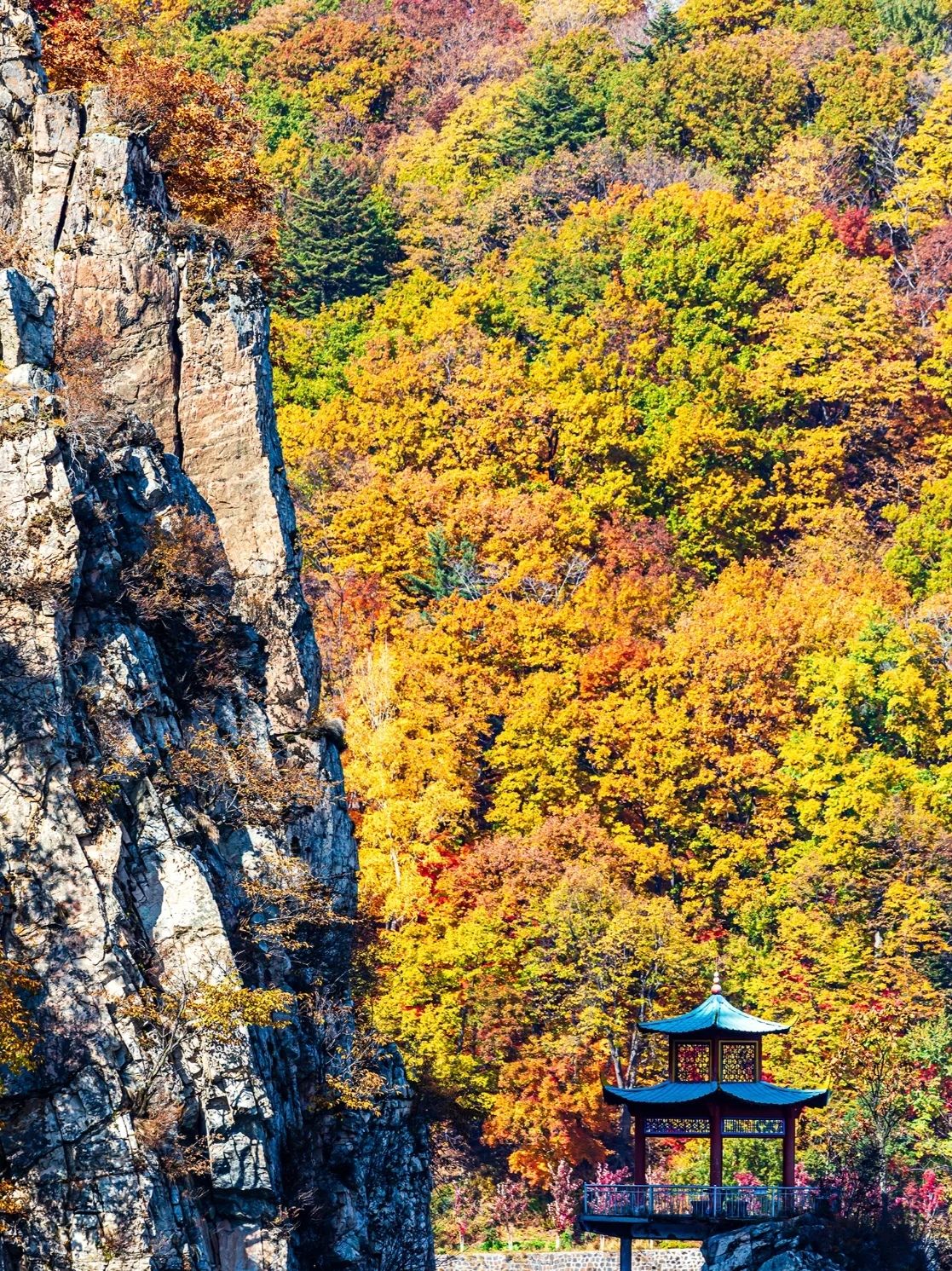 吉林龙湾景区(暂停开放)旅行图片 1