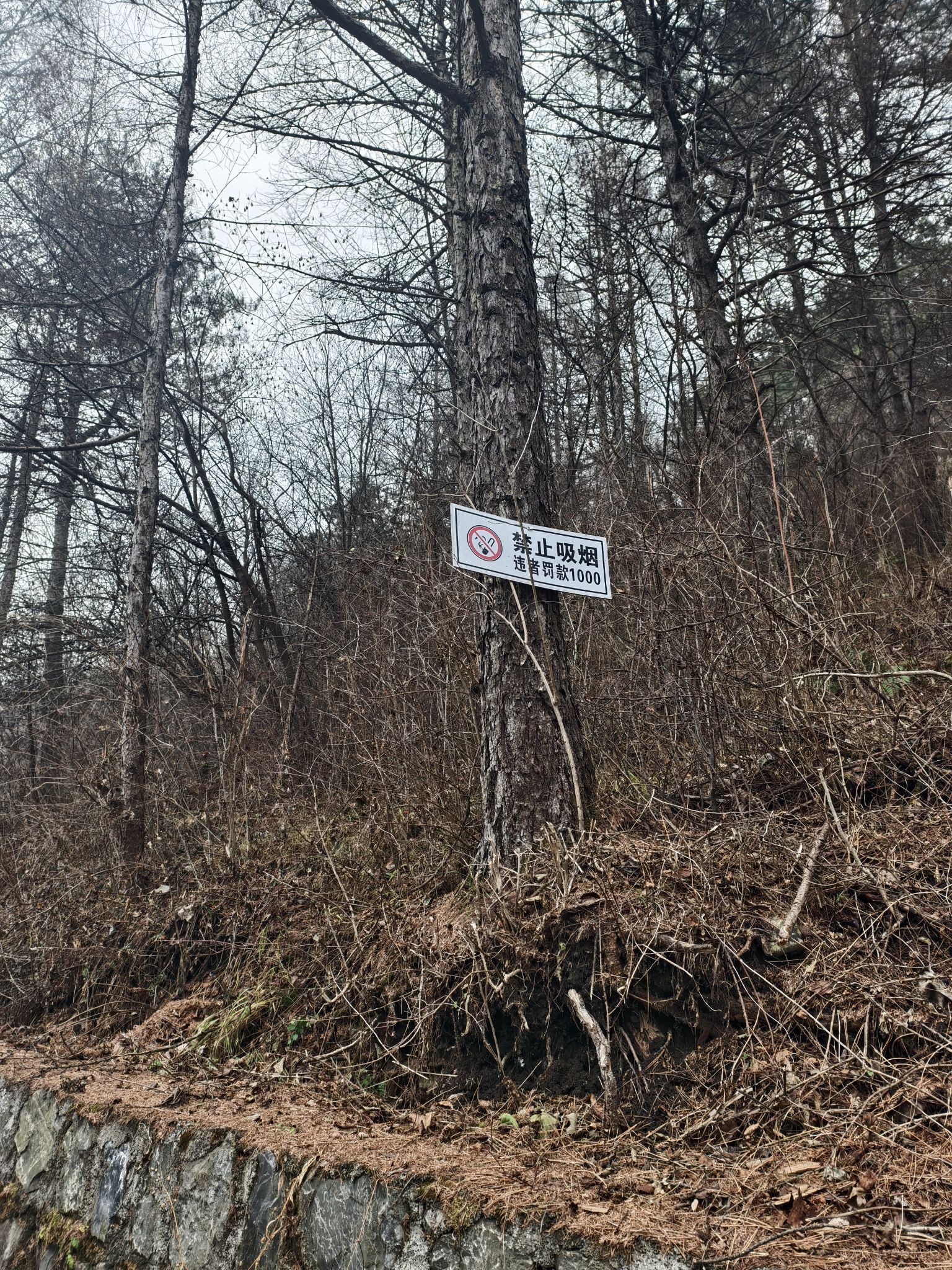 通化溶洞景区旅行图片 1