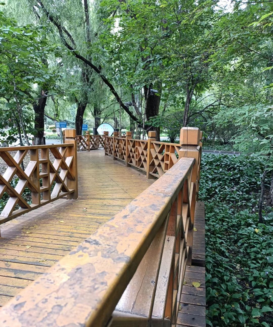 长白山植物园旅行图片 3