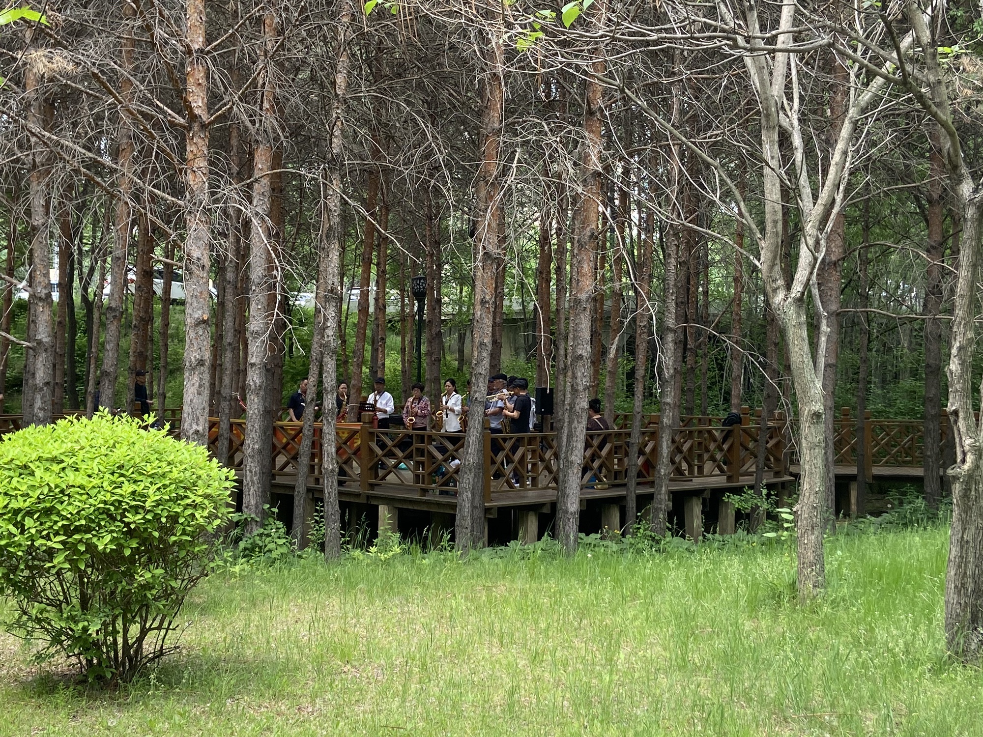 长白山植物园