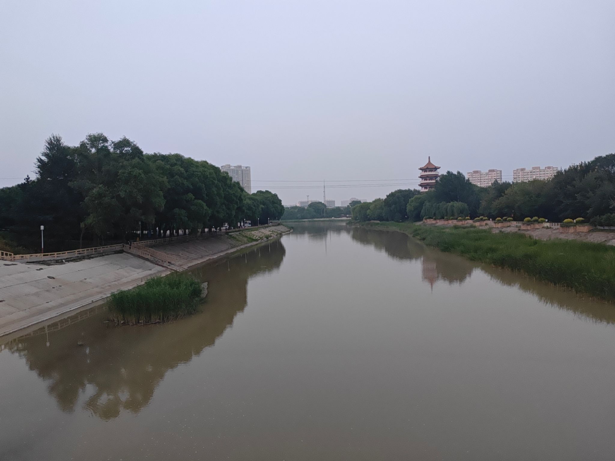 长白山植物园旅行图片 1