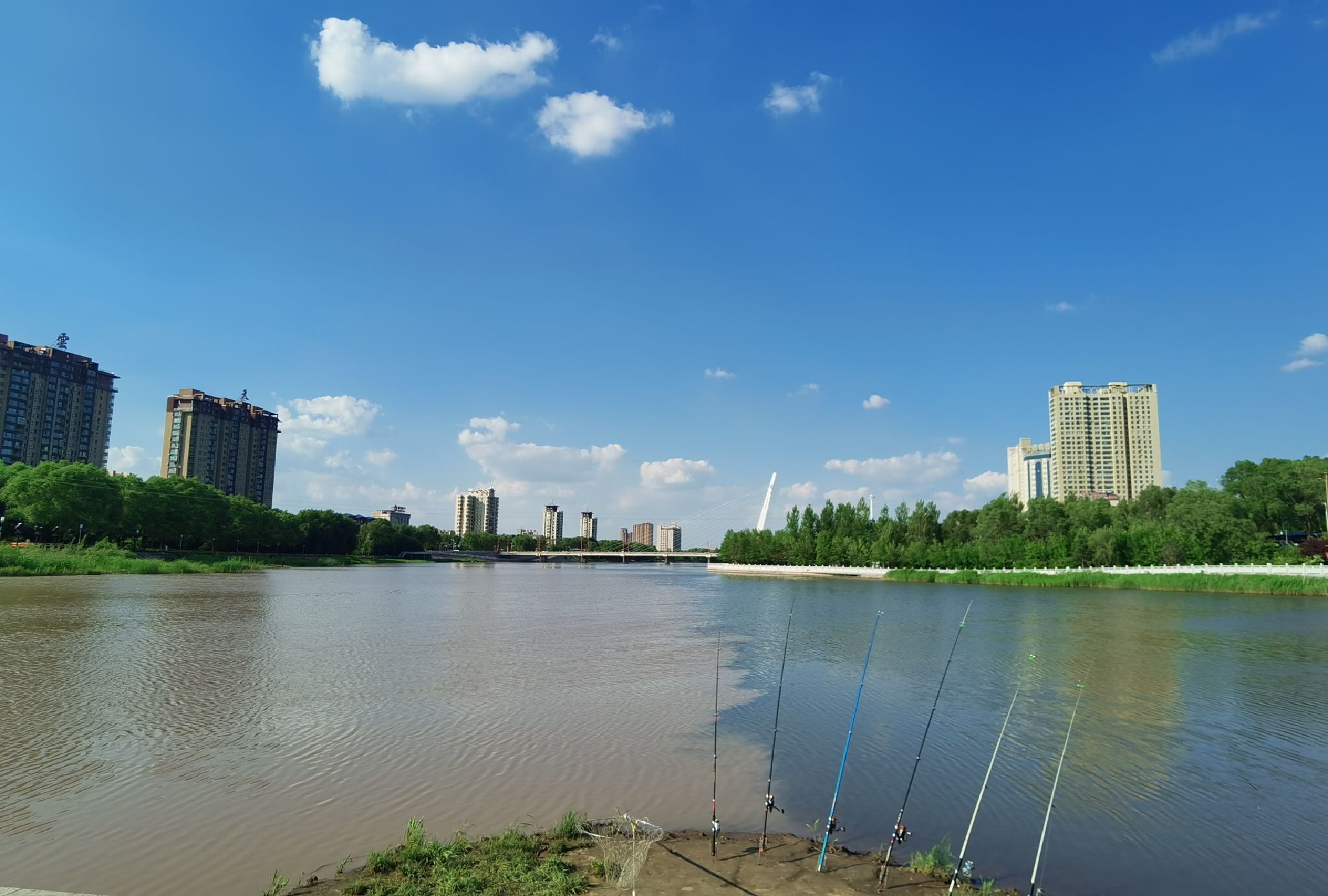 长白山植物园旅行图片 3