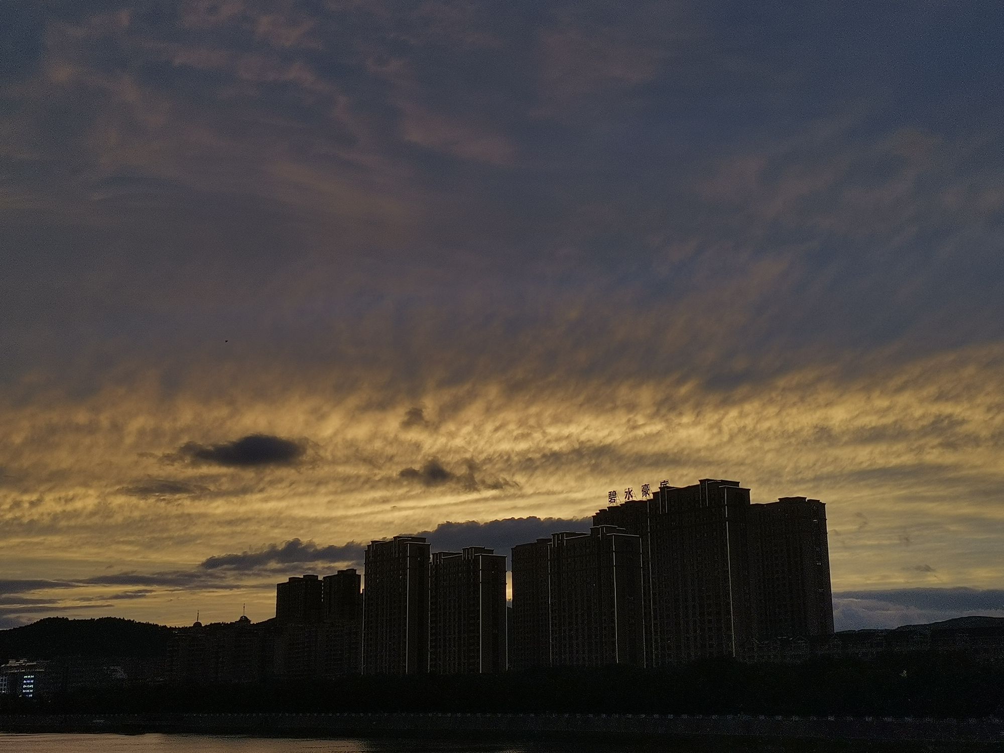 滨江公园旅行图片 3