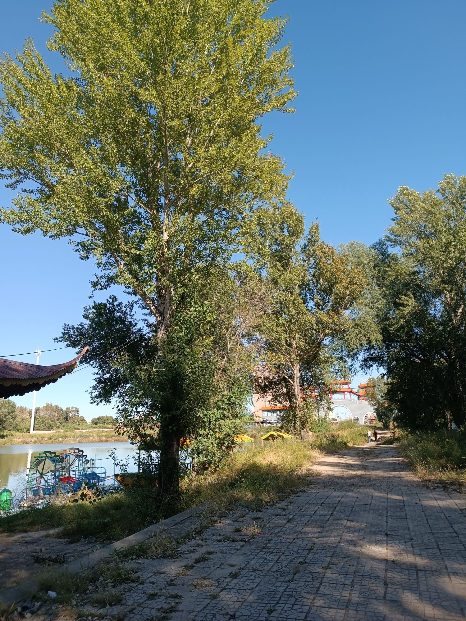 西郊公园旅行图片 1