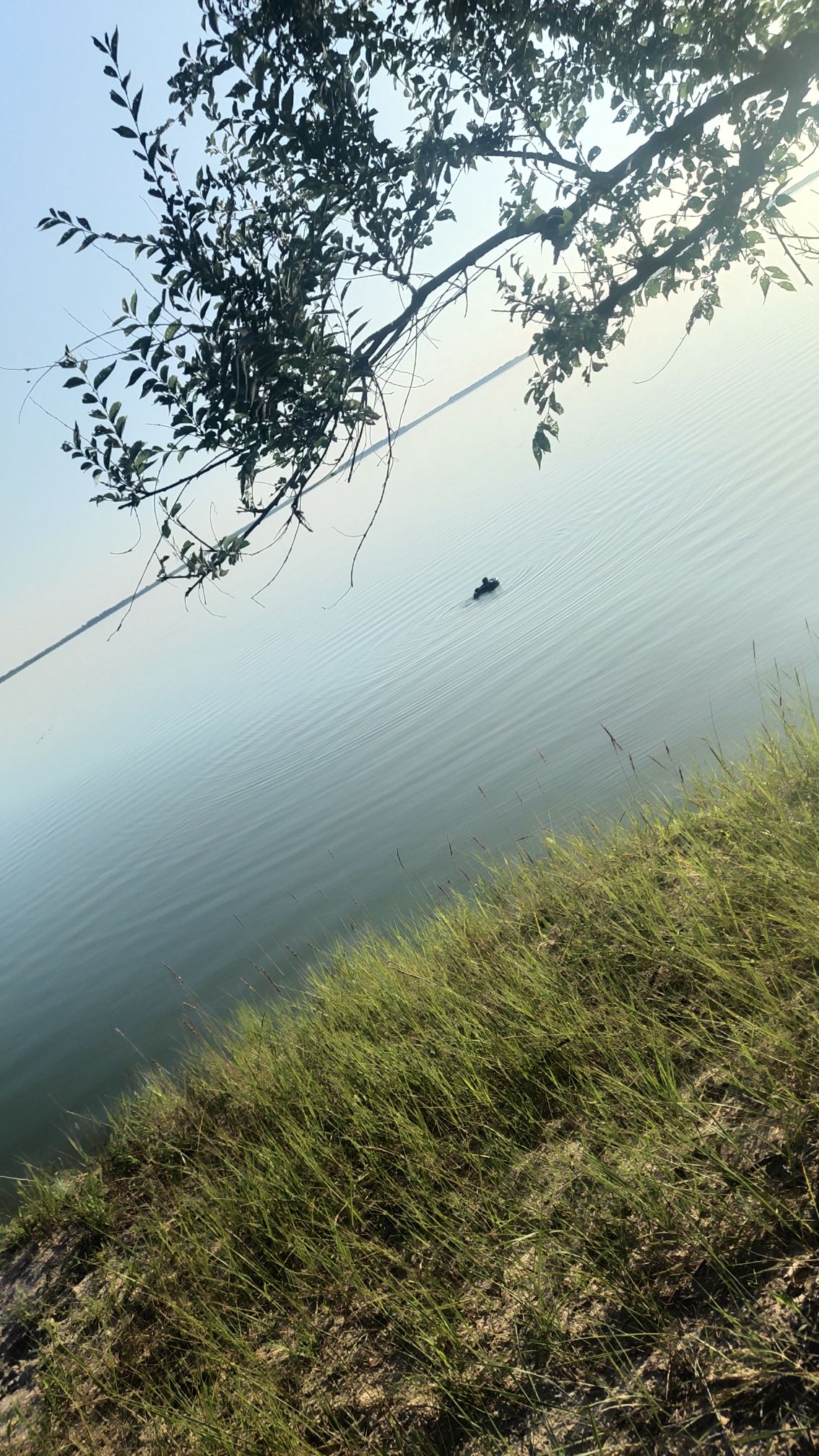 白城森林浴场旅行图片 3