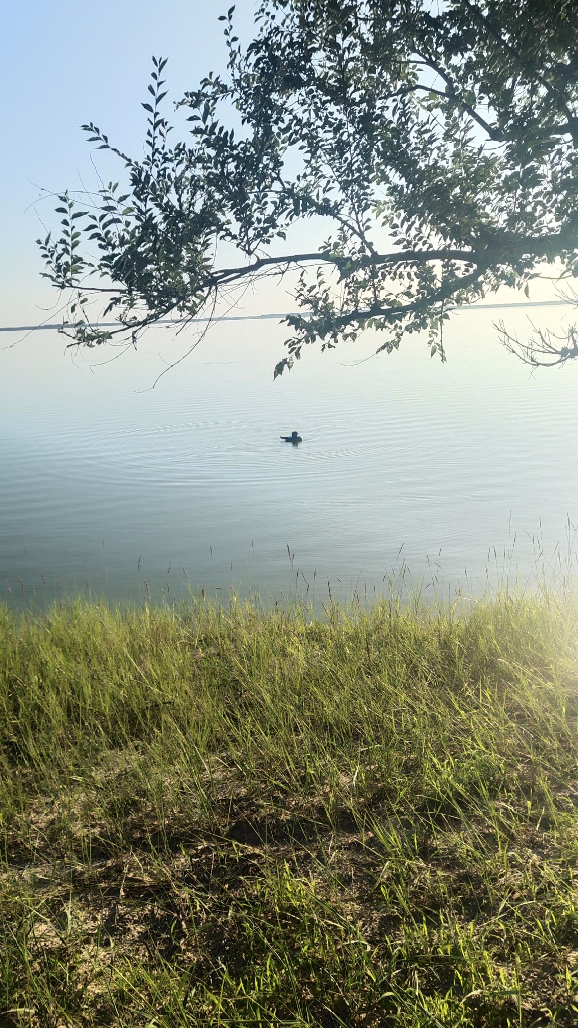白城森林浴场旅行图片 1