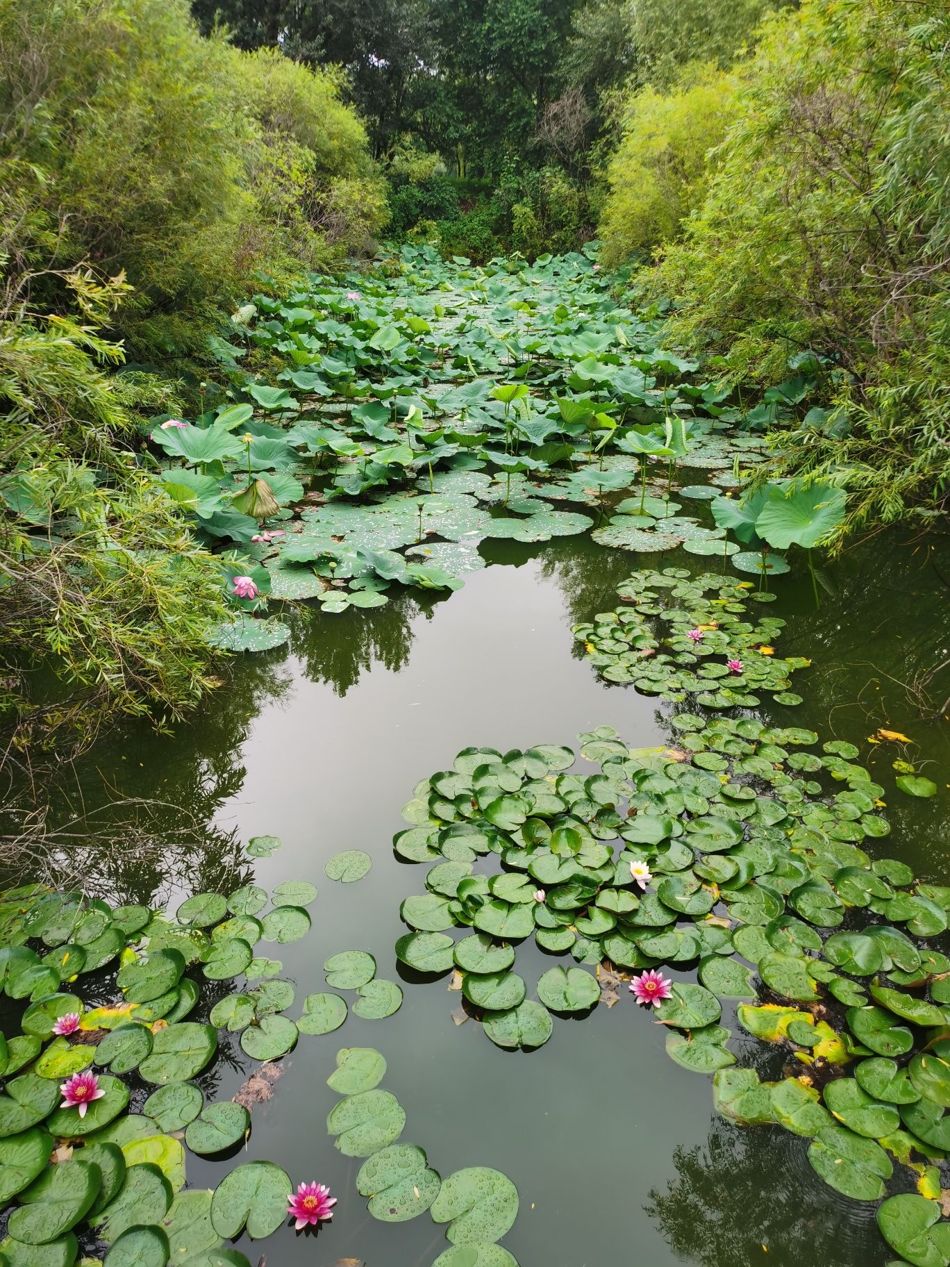 大安市嫩江湾旅游区旅行图片 2