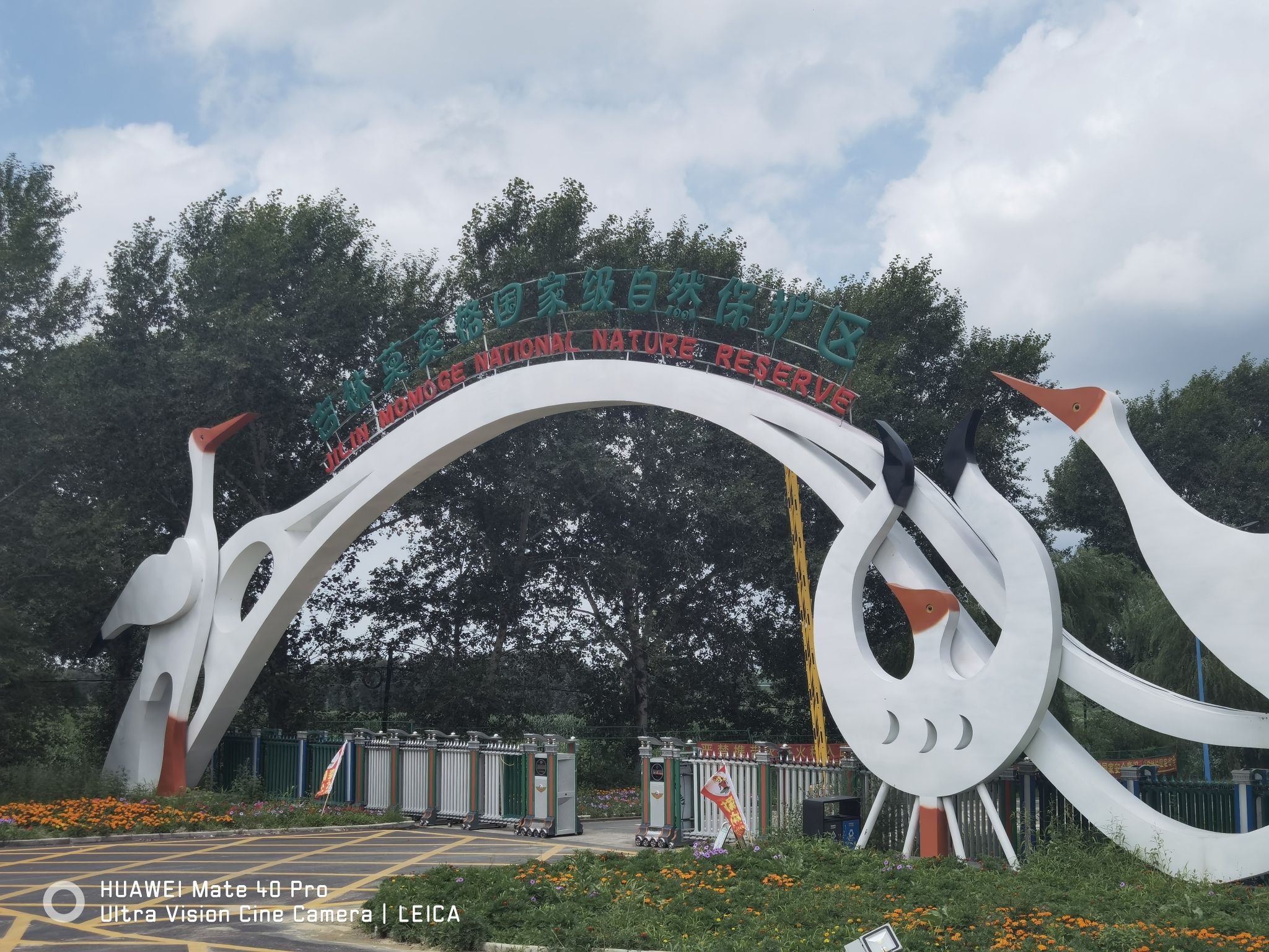 吉林莫莫格国家级自然保护区(暂停开放)旅行图片 3
