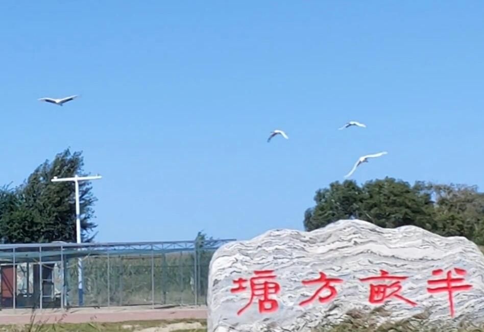 吉林莫莫格国家级自然保护区(暂停开放)旅行图片 1