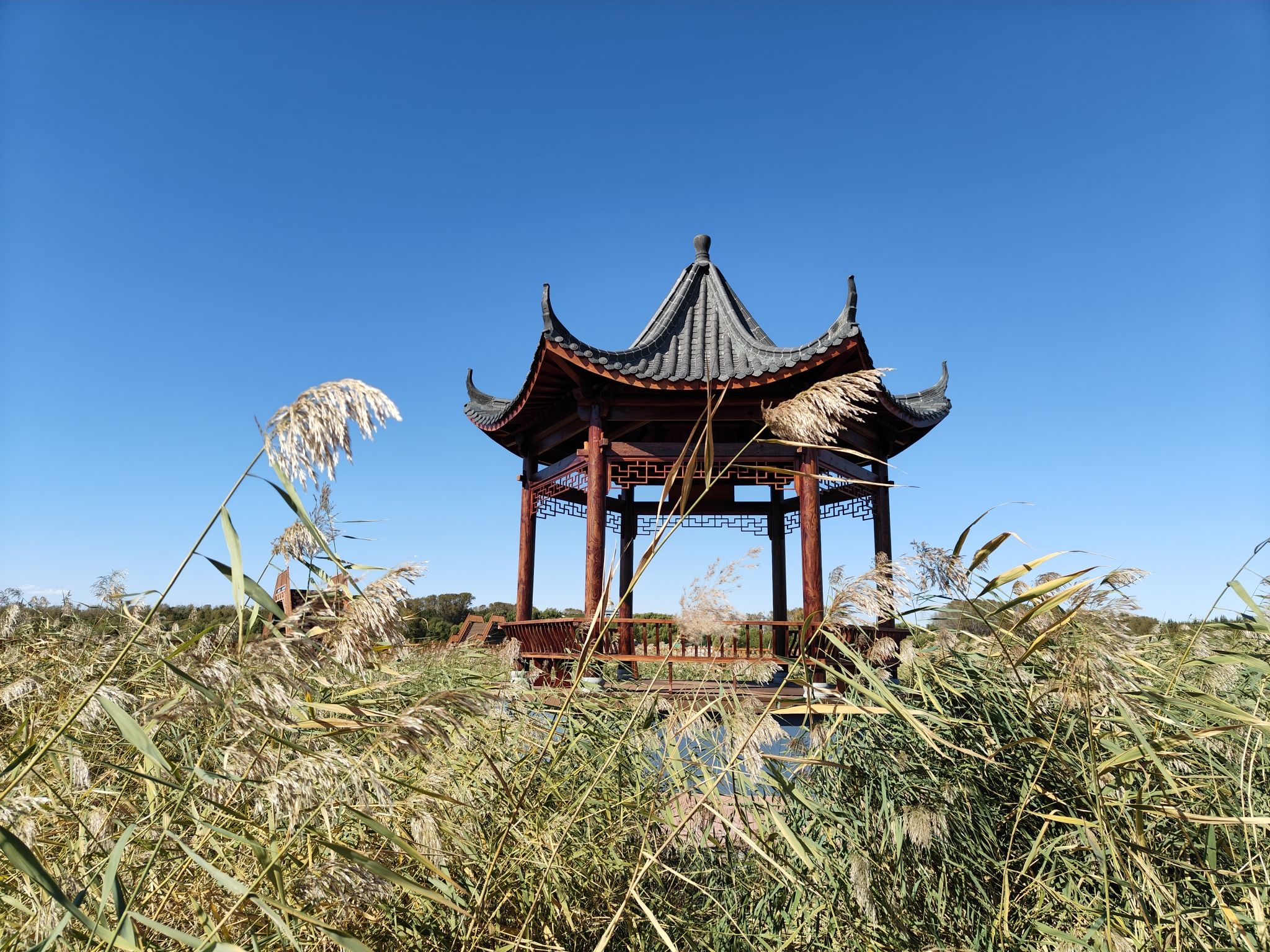吉林莫莫格国家级自然保护区(暂停开放)旅行图片 3
