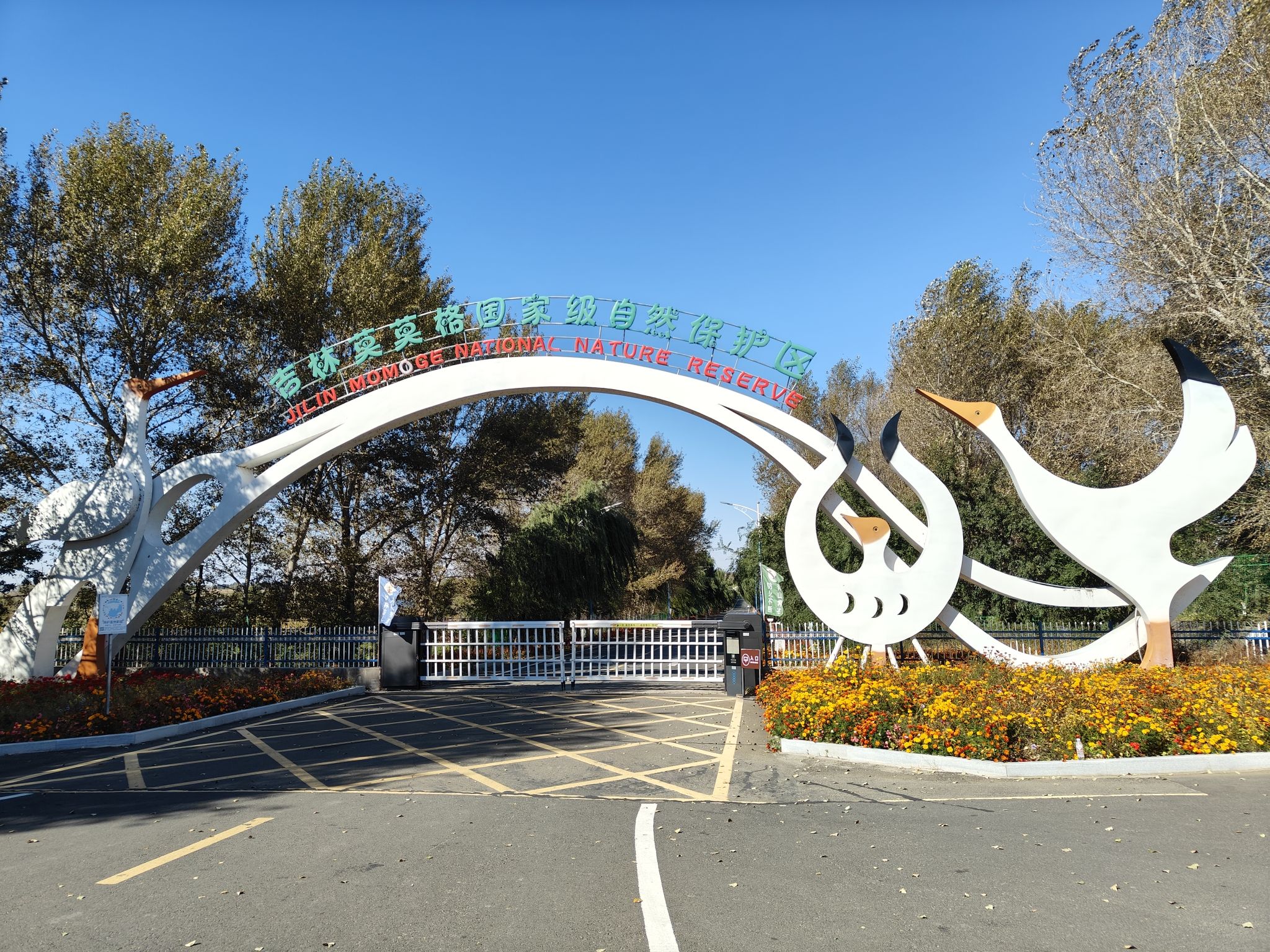 吉林莫莫格国家级自然保护区(暂停开放)旅行图片 1