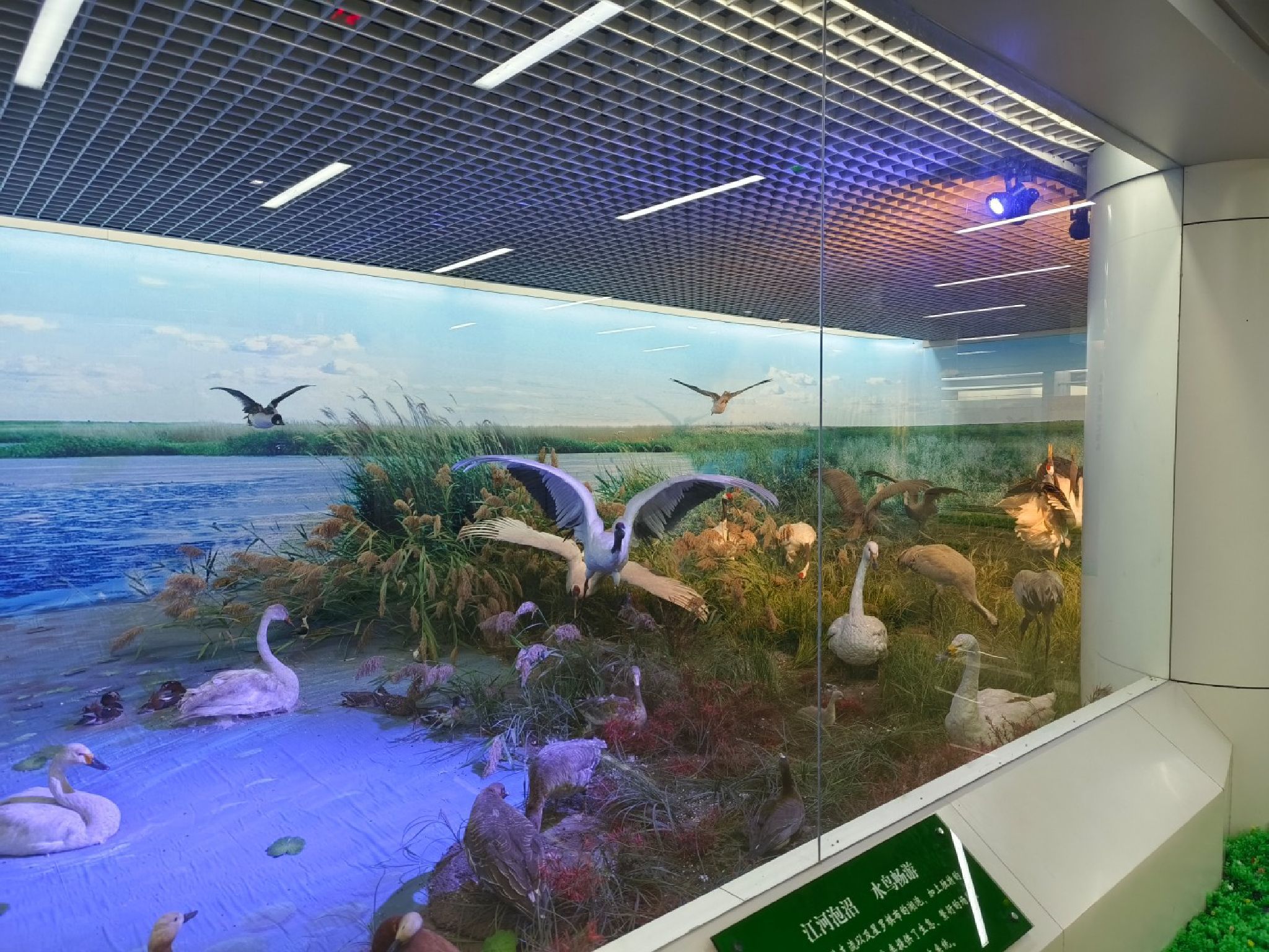 吉林莫莫格国家级自然保护区(暂停开放)旅行图片 1