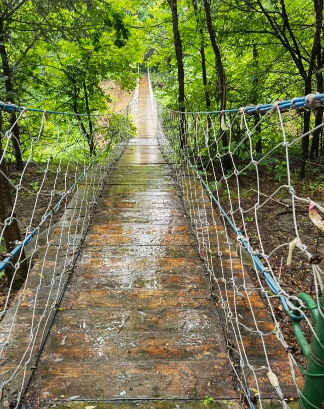 吉林省江城森林植物园旅行图片 2