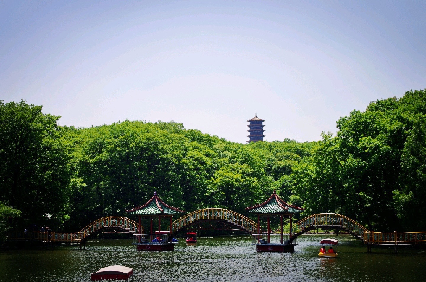 吉林省江城森林植物园