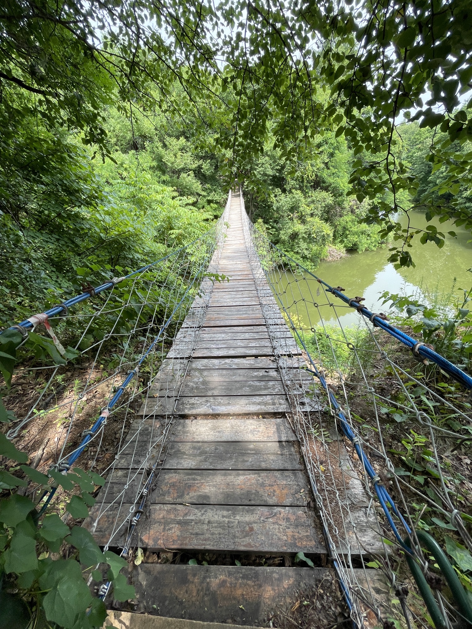 吉林省江城森林植物园旅行图片 3