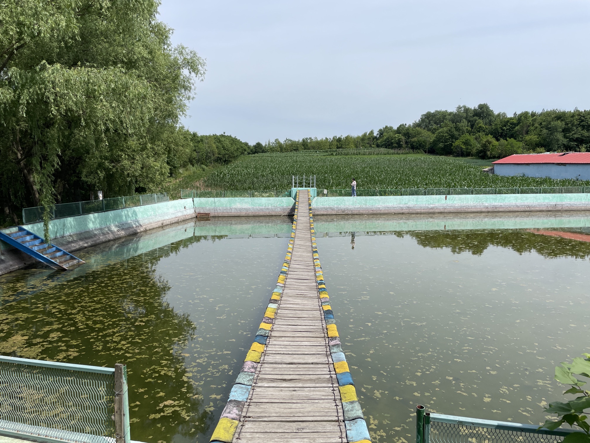吉林省江城森林植物园旅行图片 2