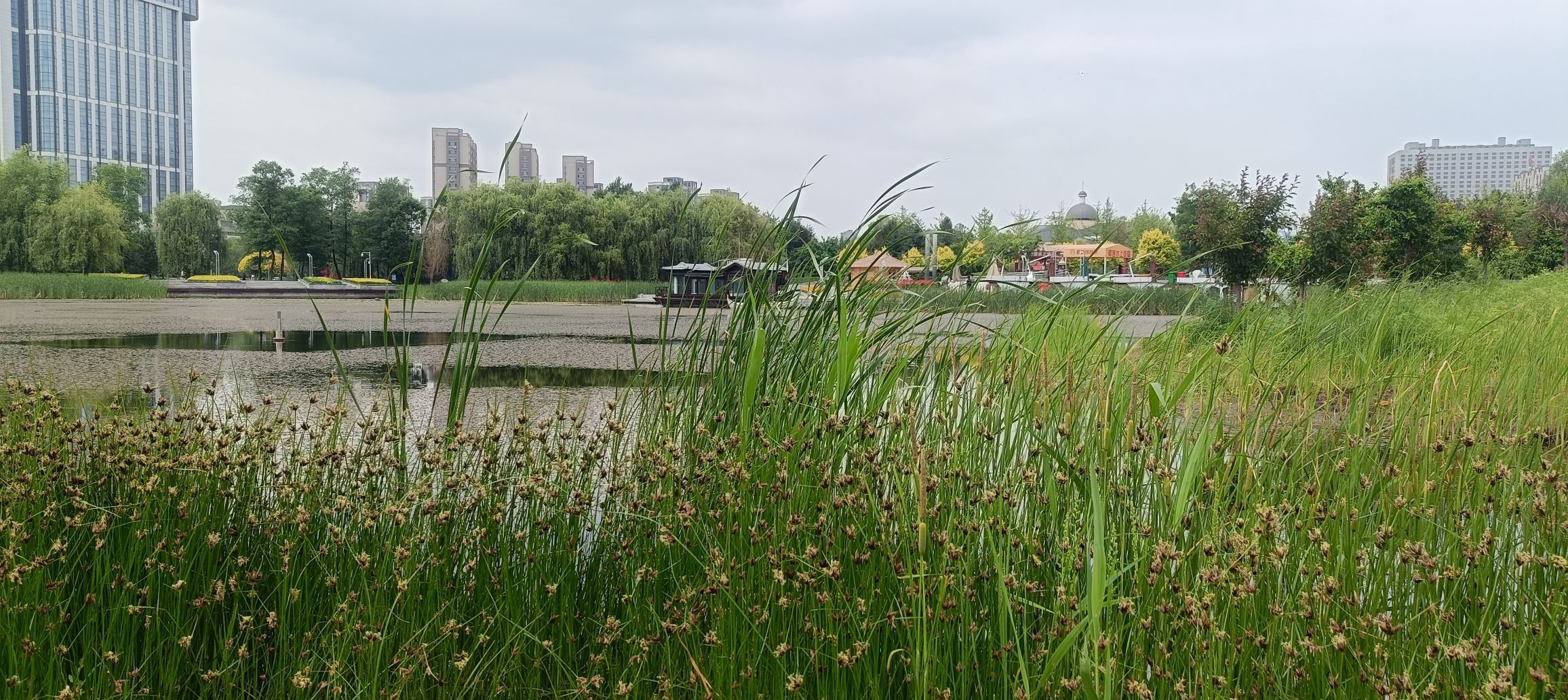 南照山公园旅行图片 1