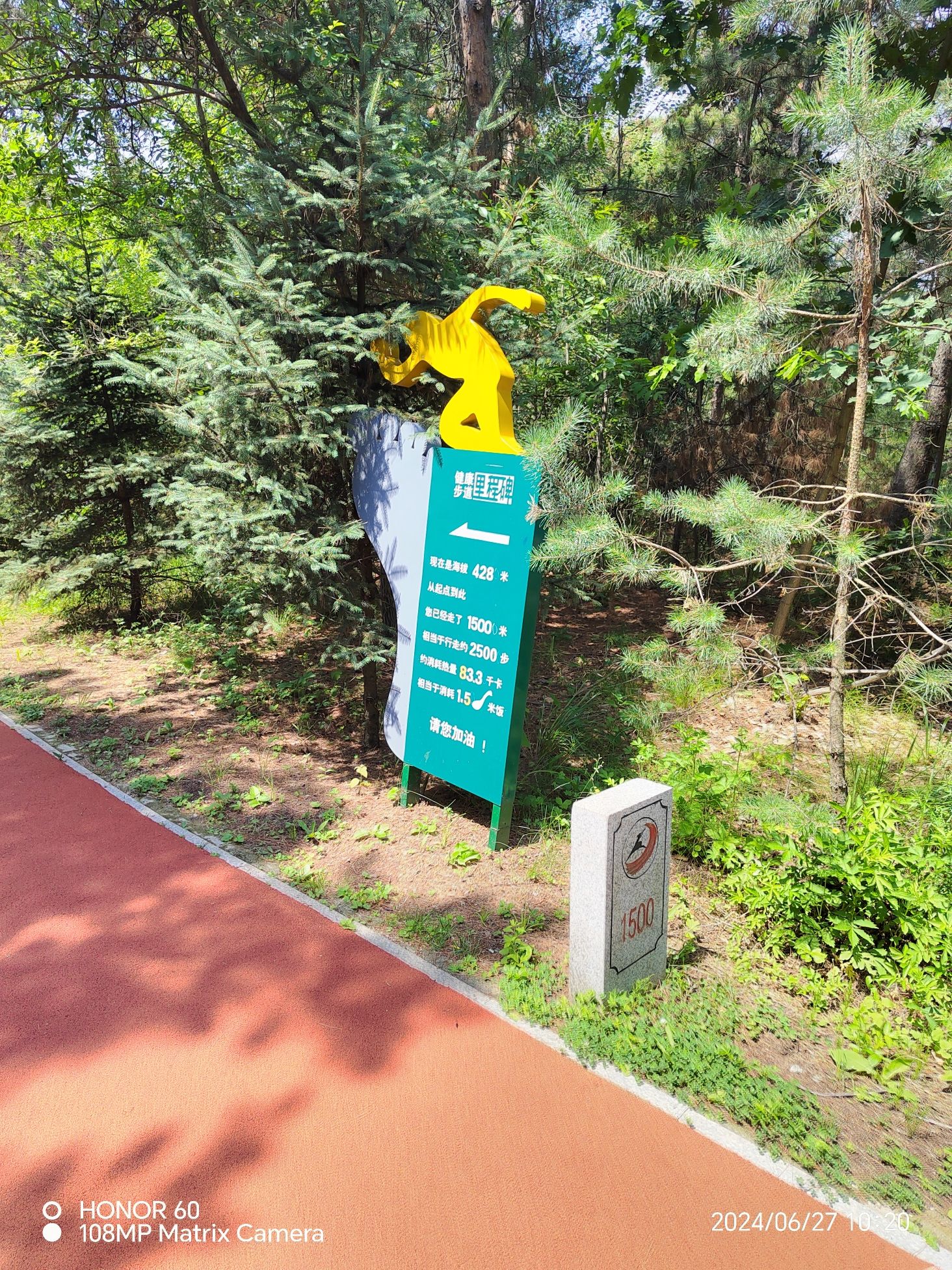 南照山公园旅行图片 3