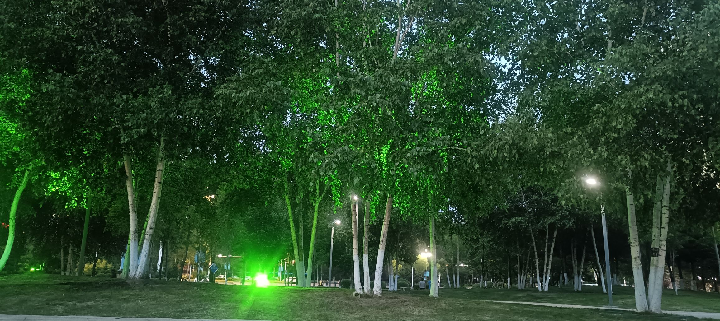 南照山公园旅行图片 3