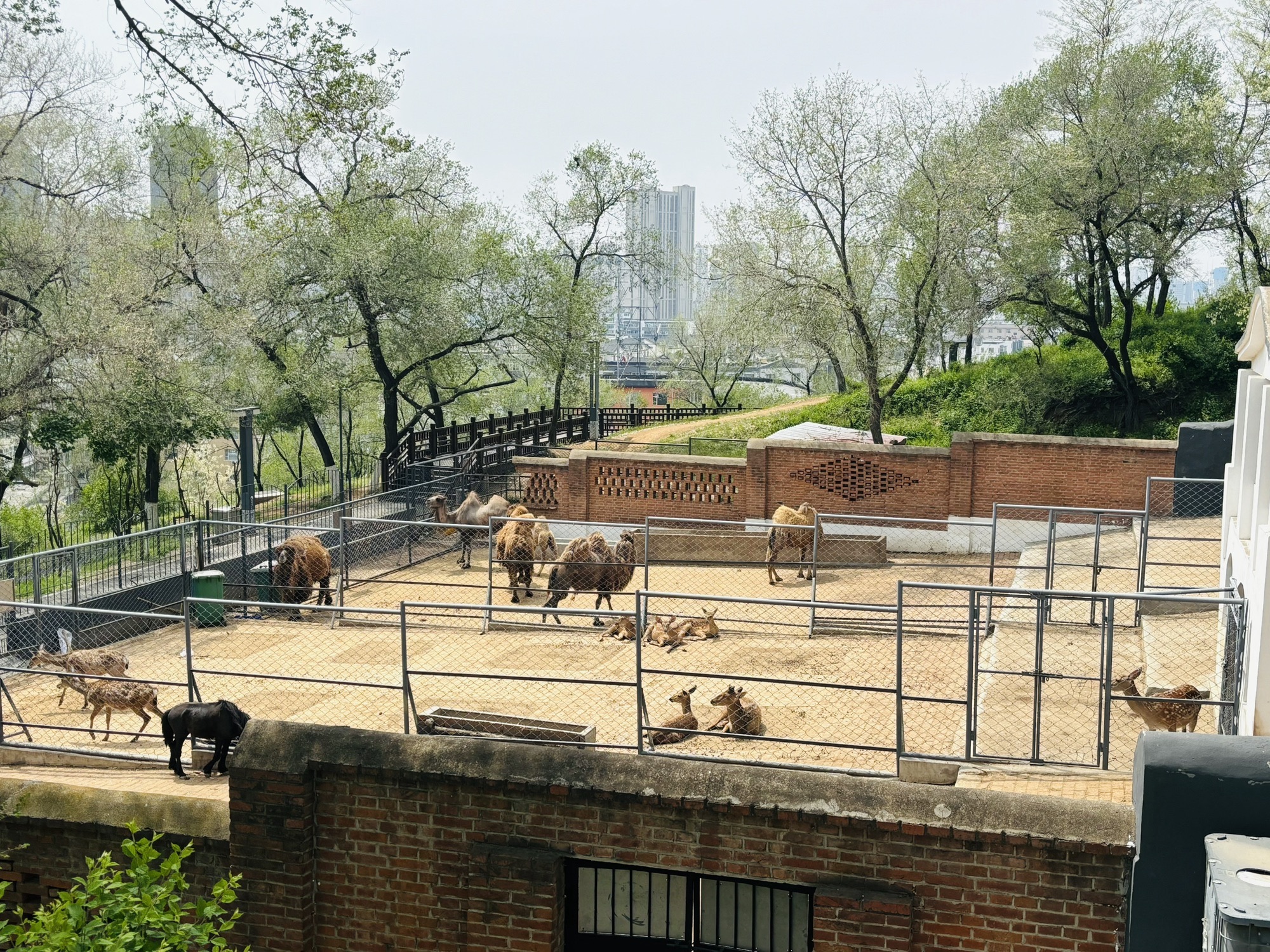龙山公园旅行图片 2