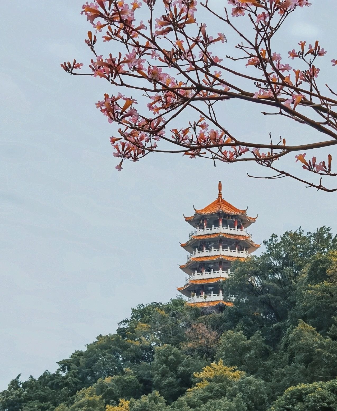 龙山公园