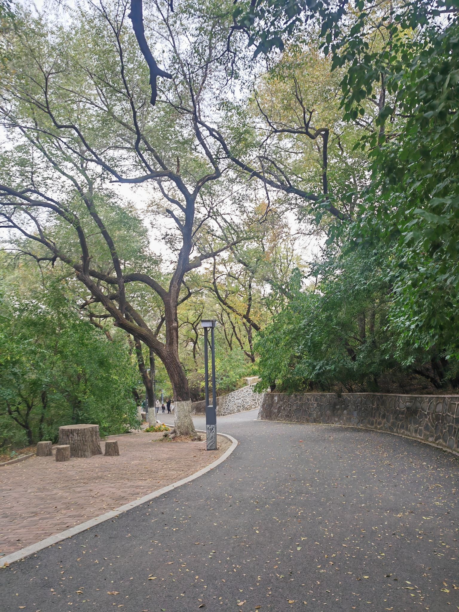 龙山公园旅行图片 2