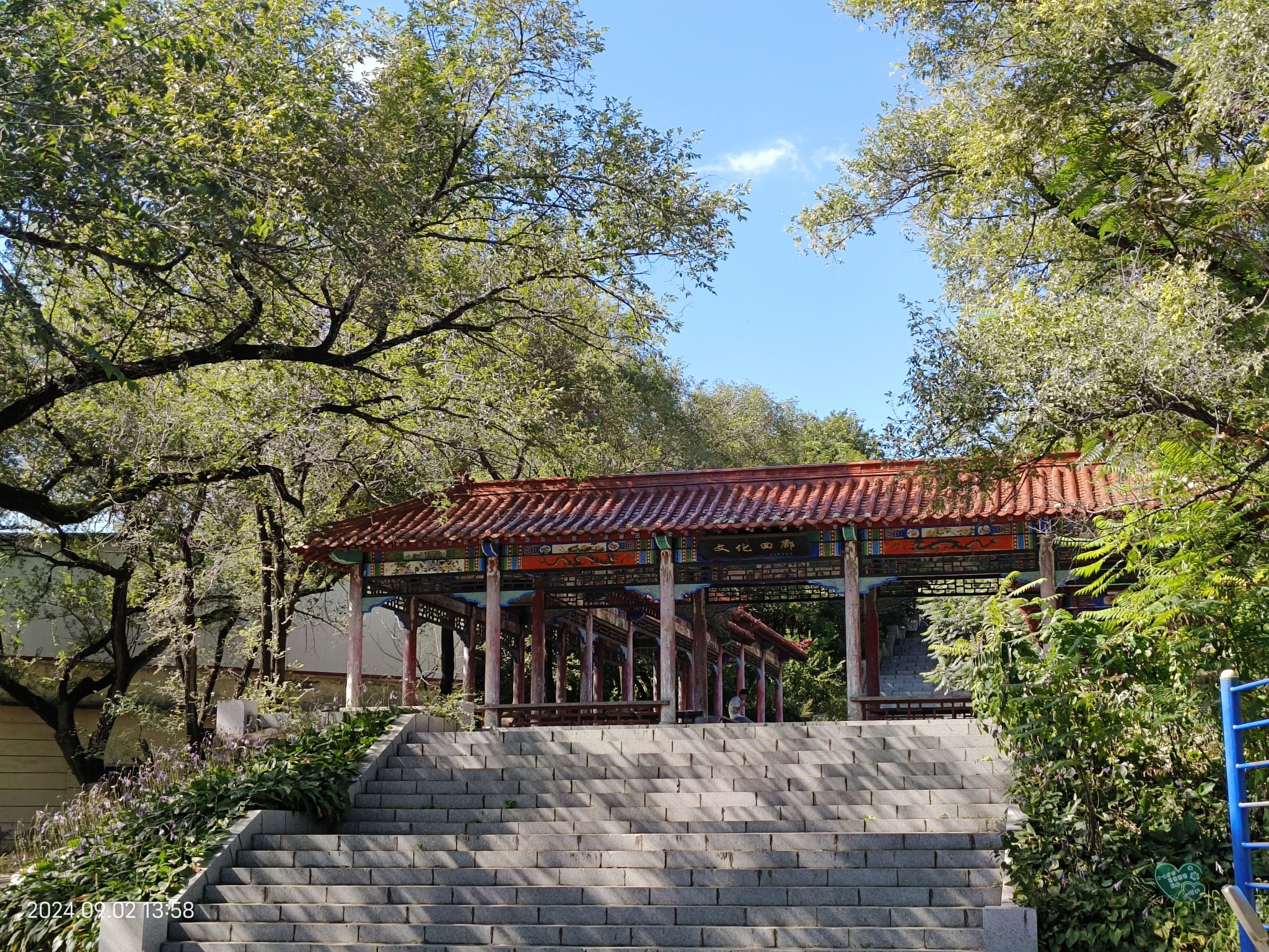 龙山公园旅行图片 2