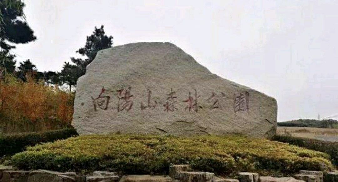 向阳山森林公园旅行图片 2