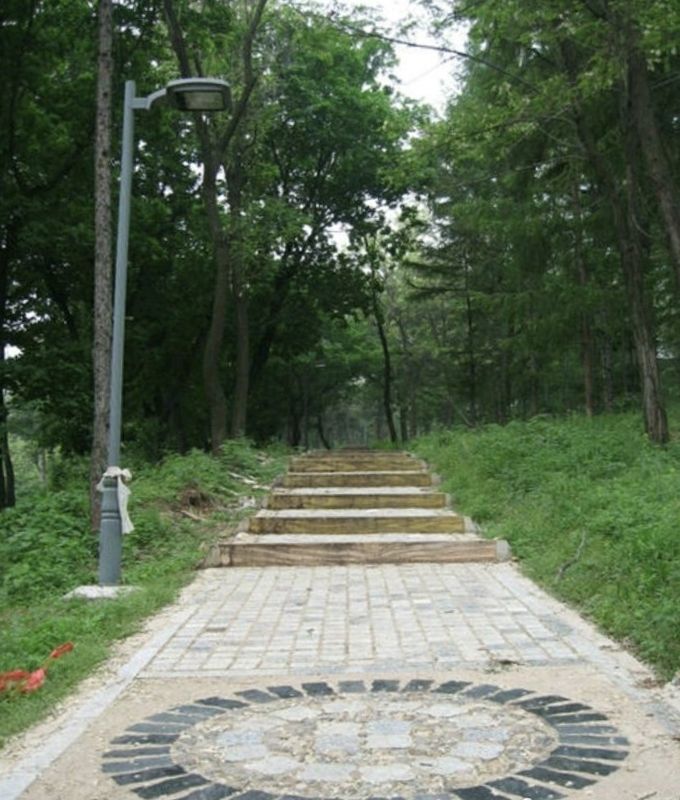 向阳山森林公园旅行图片 1