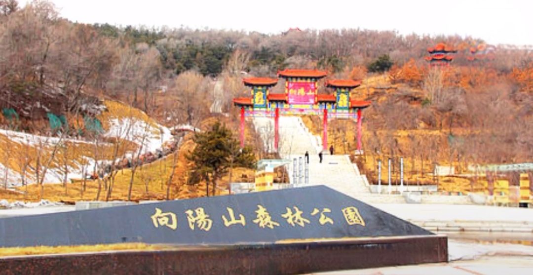 向阳山森林公园