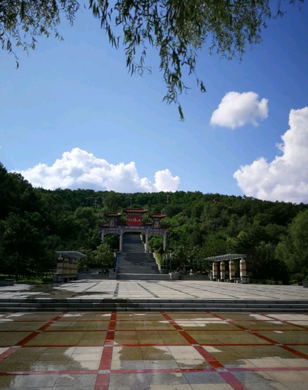 向阳山森林公园旅行图片 3