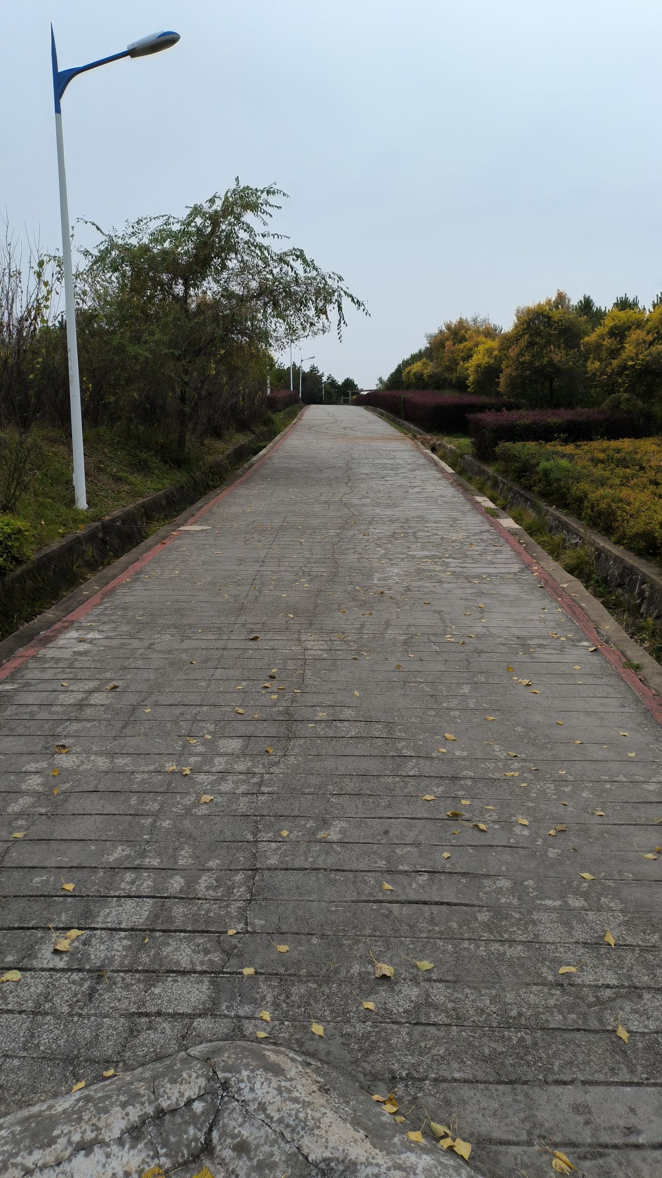连泉山森林公园旅行图片 2