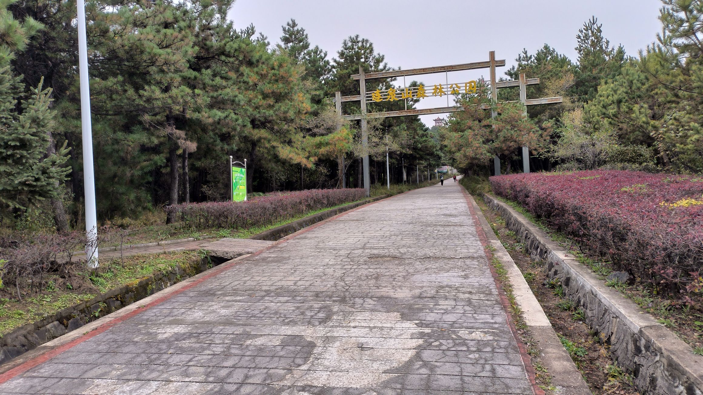 连泉山森林公园旅行图片 3