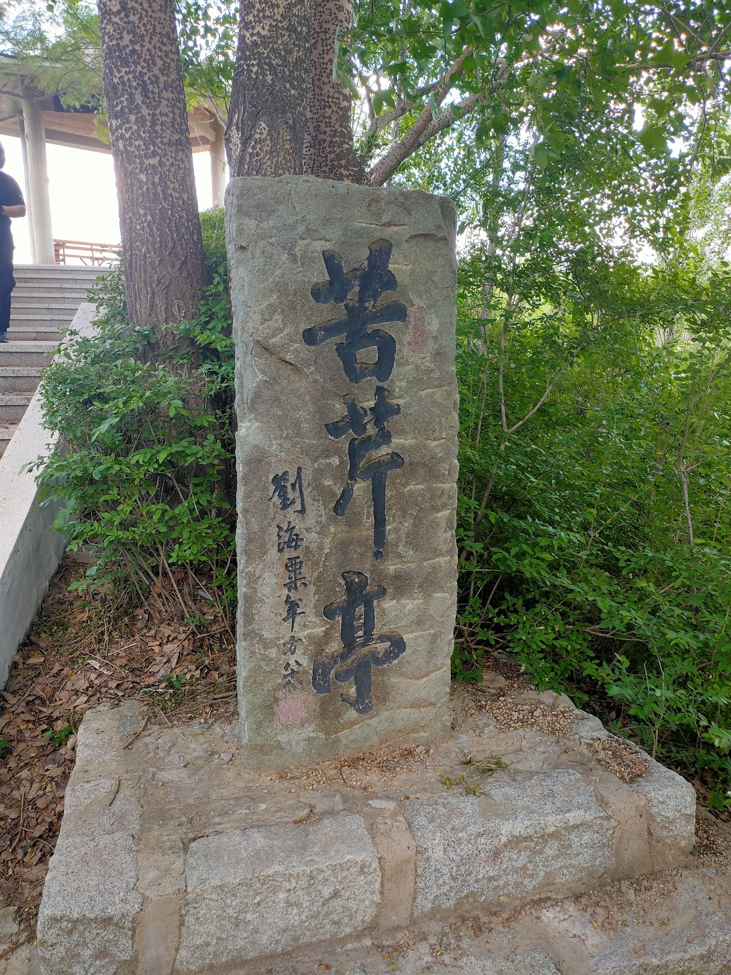 鴜鹭湖国家湿地公园旅行图片 2