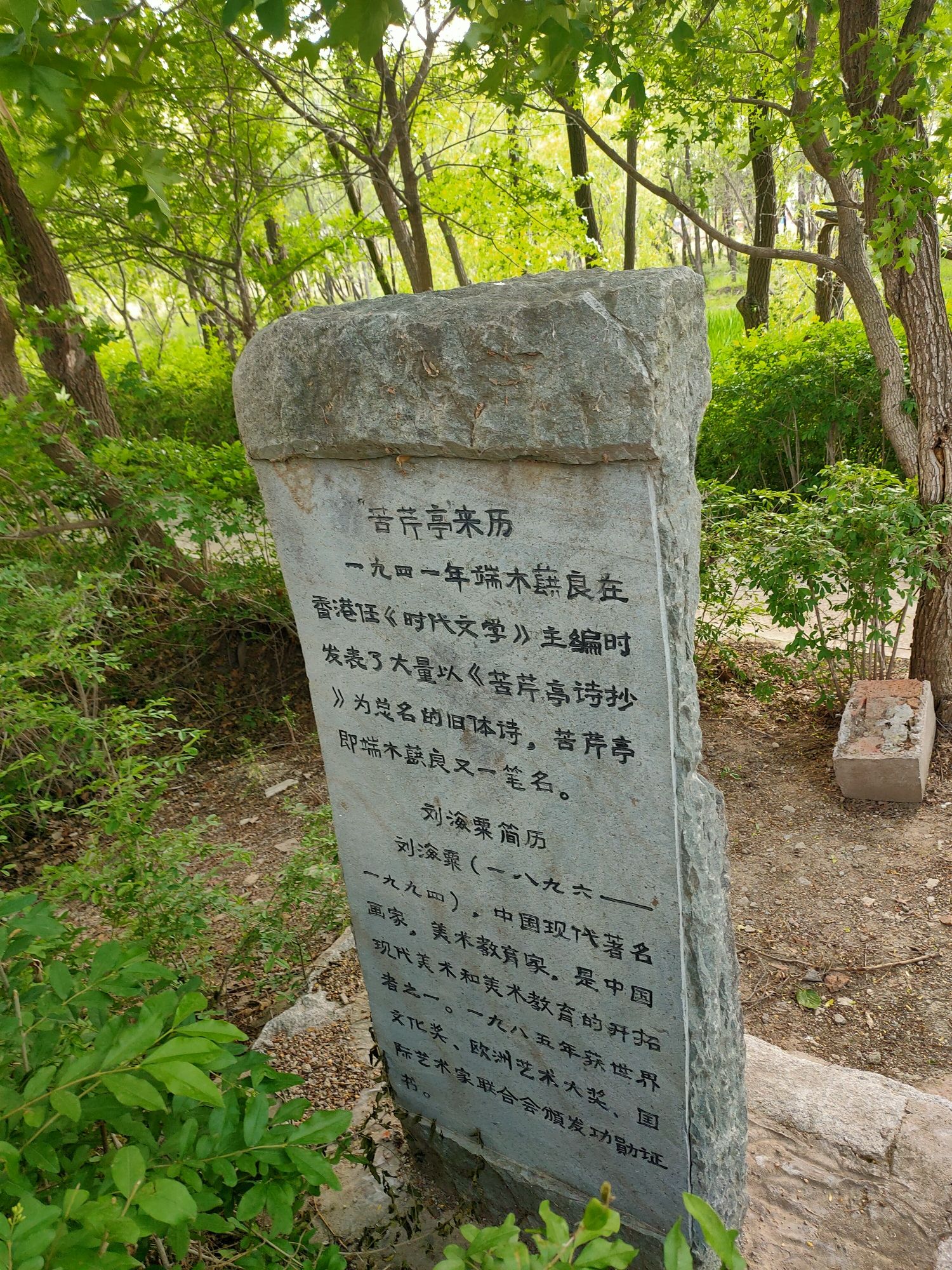 鴜鹭湖国家湿地公园旅行图片 3
