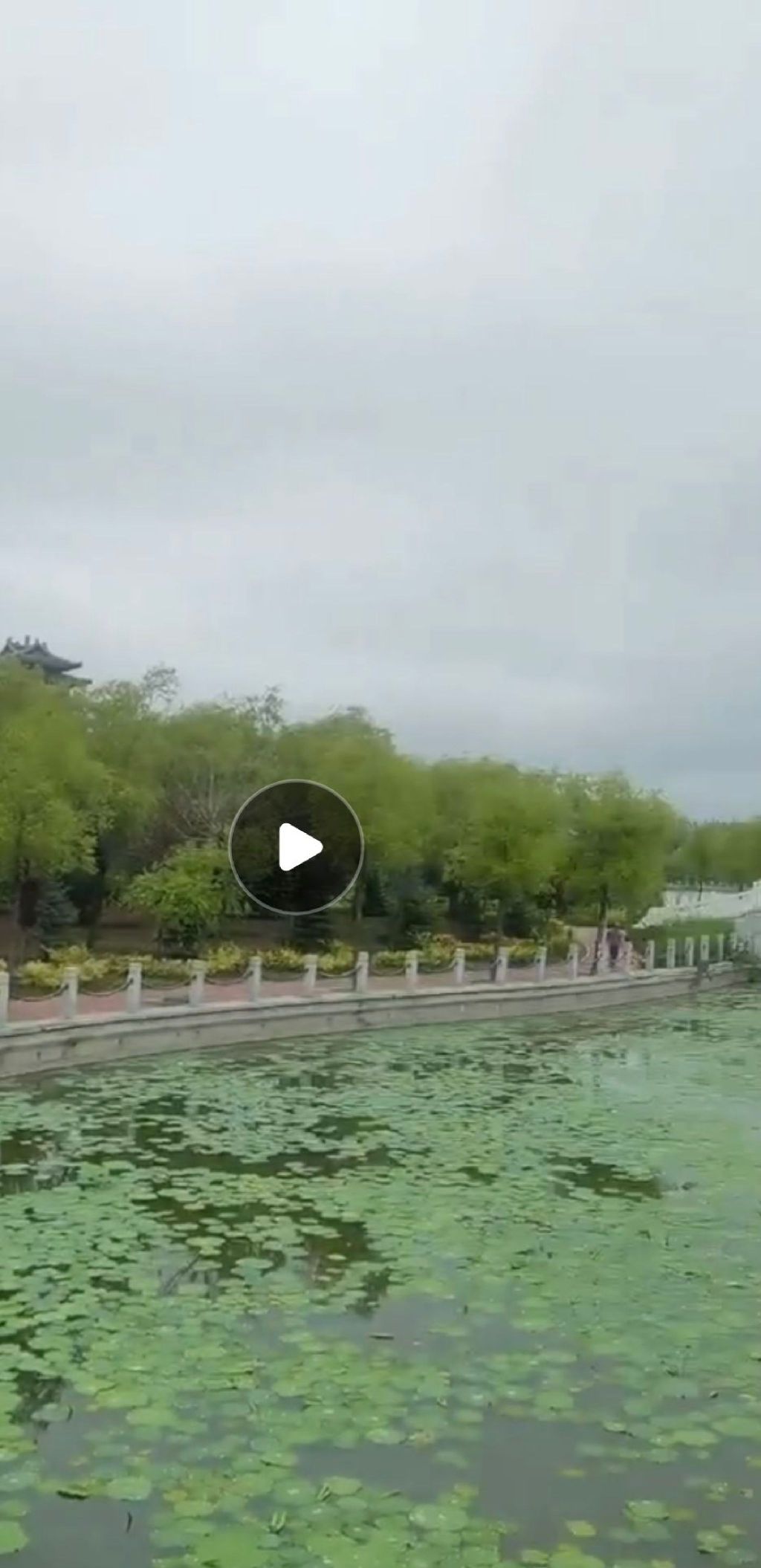 乾安公园旅行图片 3
