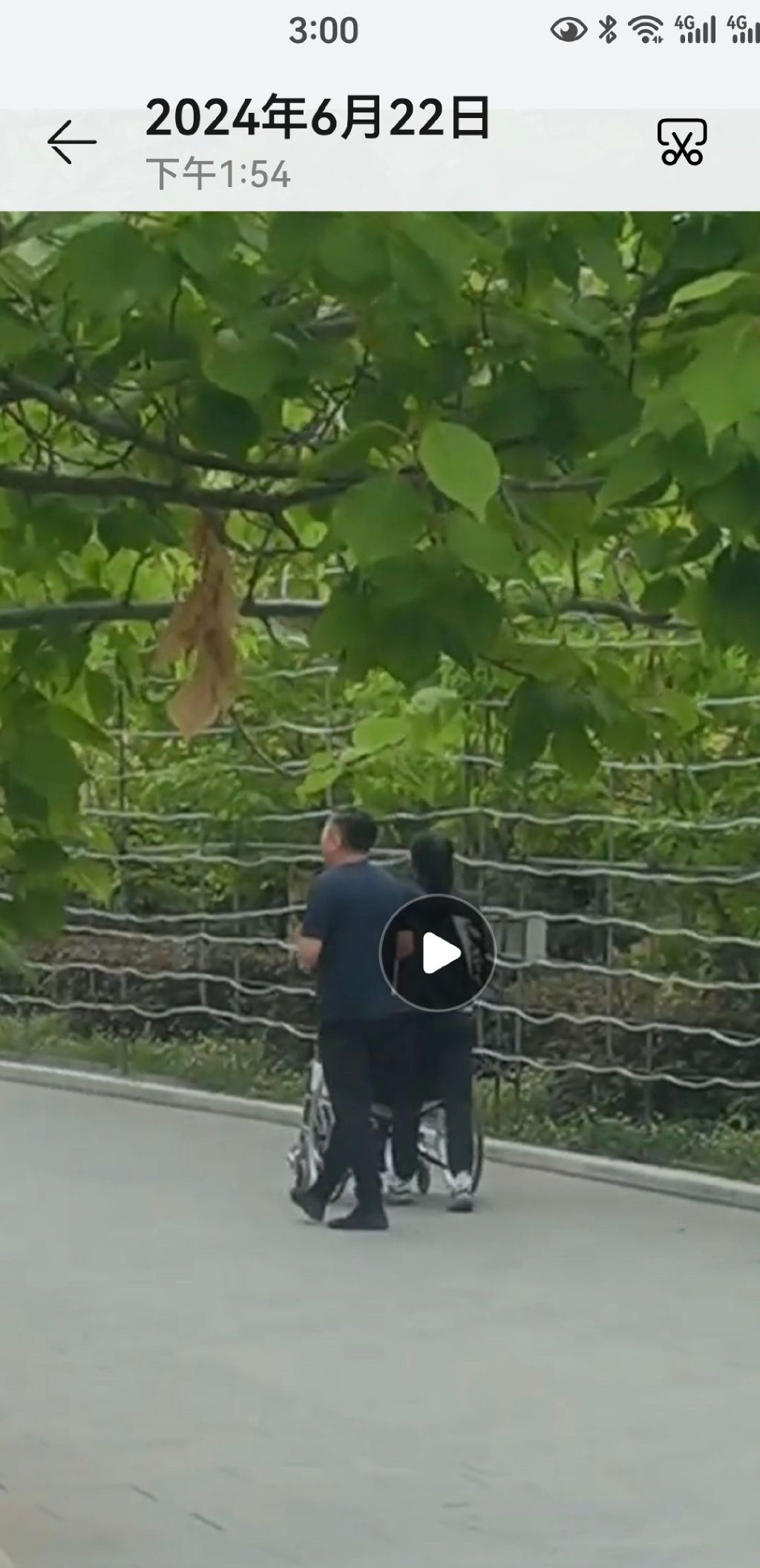 乾安公园旅行图片 1