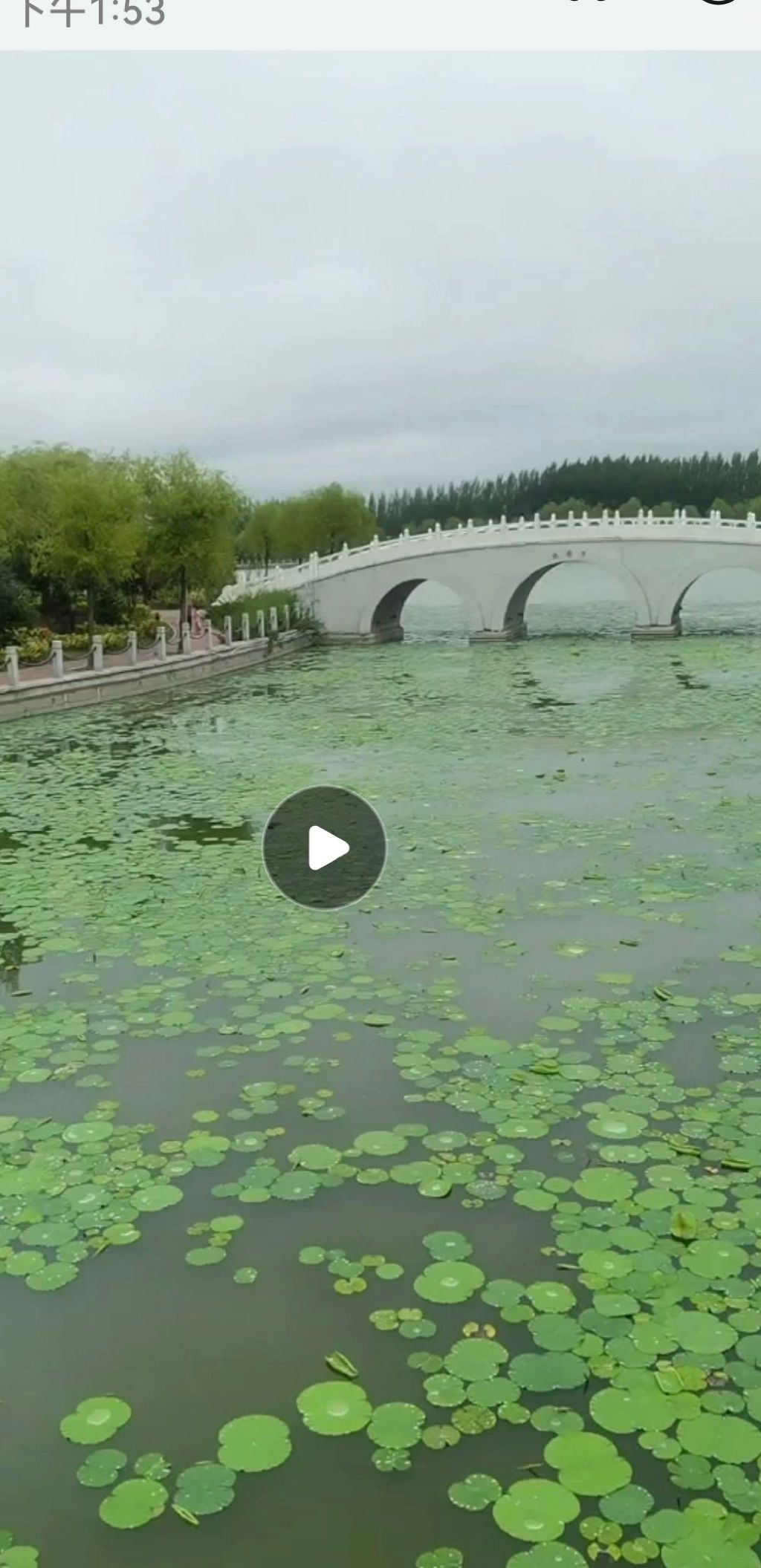 乾安公园旅行图片 2