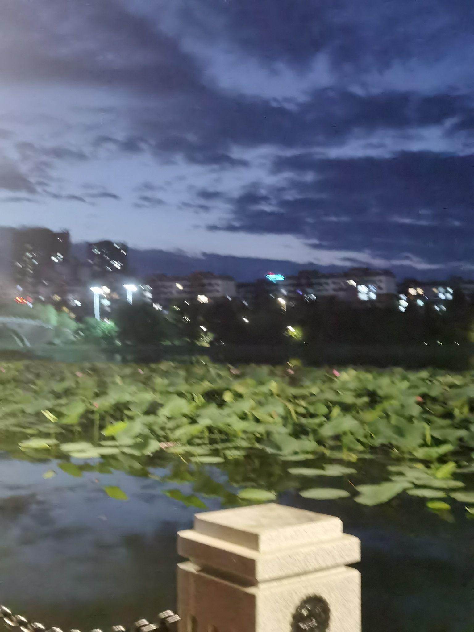 幸福公园旅行图片 3